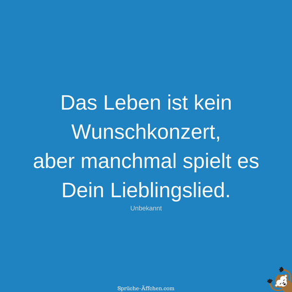 Sprüche Leben Sprüche Äffchen